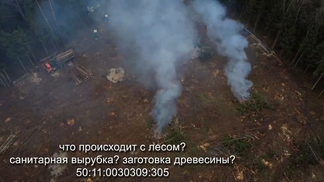 Московская область, Красногорский район, п. Нахабино. Жгут мусор. Незаконные свалки. Печь. смотреть онлайн