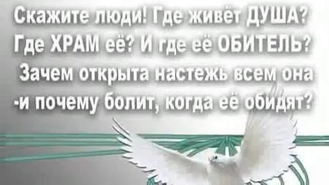 Не гонись за женщиной как за уходящим трамваем,помни, за ним идёт следующий! Все женщины изменЯют! смотреть онлайн