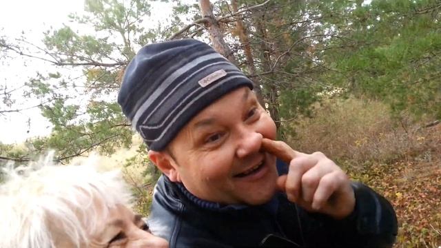 Грибники потерялись шуточки приколочки перед Гавриловкой)))) смотреть онлайн