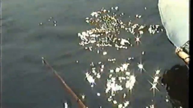 р.Билин. 2002г. Калининград. ч.2 смотреть онлайн