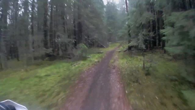 Гонка PitCross путь новичка. Avantis 250 смотреть онлайн