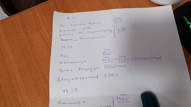 Сколько стоит лечение пиометры у собаки. смотреть онлайн