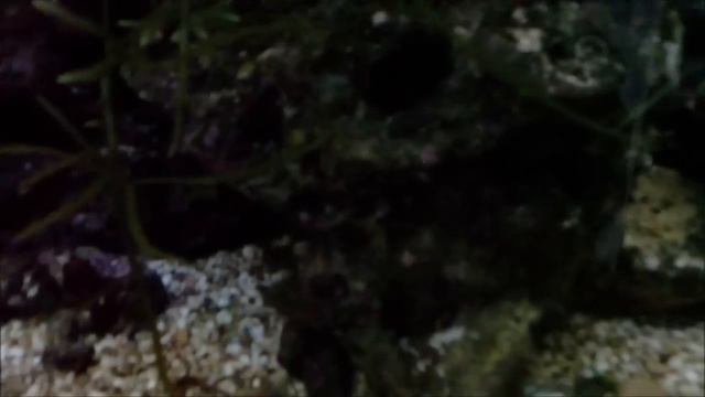Море в моей квартире смотреть онлайн