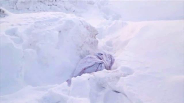 Среди сугробов валялся сверток… То, что нашли внутри, заставило говорить об этом весь город смотреть онлайн