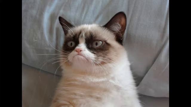 Югорское КА #5. Скидки акции выездные и прочие коллекторские прелести смотреть онлайн