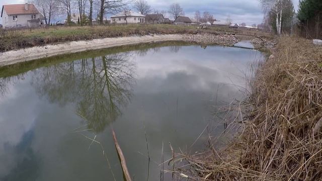 Ловлю рыбу на паук в собственном пруду. Пруд на даче.Пруд на участке. смотреть онлайн