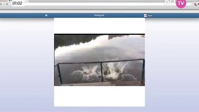 Виртуальная правда с Анной Плетнёвой (Выпуск 31) смотреть онлайн