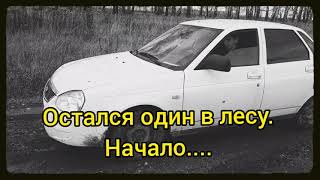 Бросили в лесу на произвол судьбы смотреть онлайн