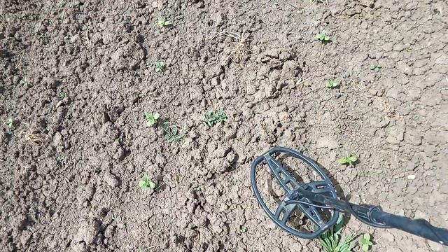 Girdiğim Bahçede Define Kalıntıları Arama Anı !!! смотреть онлайн