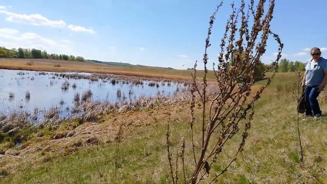 Документируйте свою жизнь. смотреть онлайн
