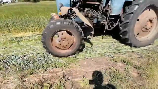 Косим ячмень на сено смотреть онлайн