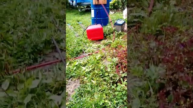 Переходим в класс с правами. PARSUN 25 4 такта смотреть онлайн