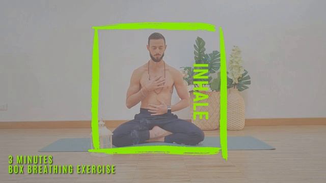 3 Min. Box Breathing Guidato 3" Liv. BASE | Yoga Pranayama - Respiro Quadrato смотреть онлайн