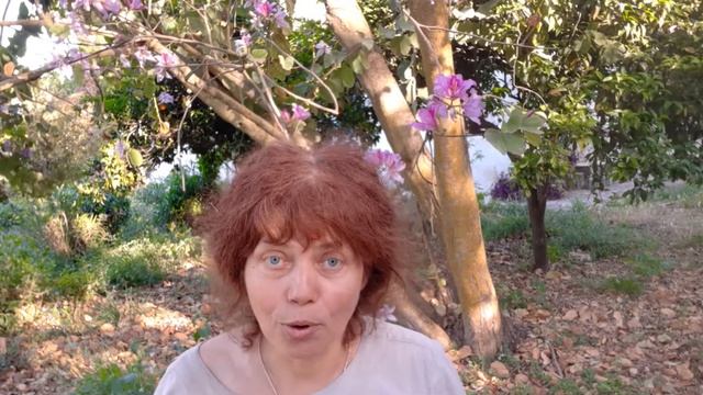 Я думать о тебе люблю..../ Е. Ширман/ Сашки и Ромашки/ 12. 05. 2021/ Греция смотреть онлайн