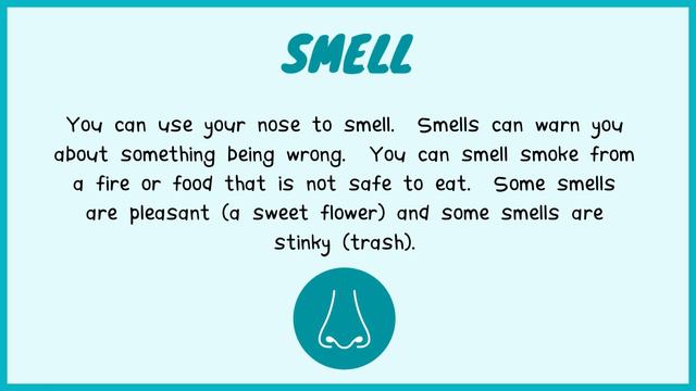 SCIENCE Lesson: Types of Senses | Learn the Different Types of our Senses смотреть онлайн