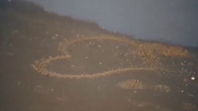 Ольга Дроздова и Дмитрий Певцов" Певчие Дрозды" смотреть онлайн