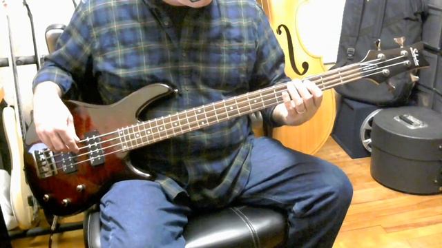 Review: Schecter Raiden Special 4 Bass