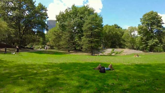 [4K] NEW YORK CITY - Summer Walk, Manhattan, New York Central Park, Travel, NYC, USA смотреть онлайн