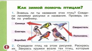 Окружающий мир. Рабочая тетрадь 1 класс 1 часть. ГДЗ стр. 52 №1