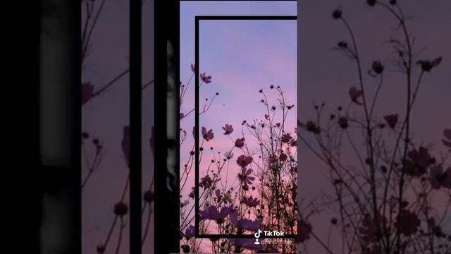 Идеи для обои на телефон☕aestatica?? смотреть онлайн