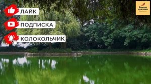 Рассказ мужчины | Измена жены. Роман на работе. Мгновенная месть мужа. Реальная история