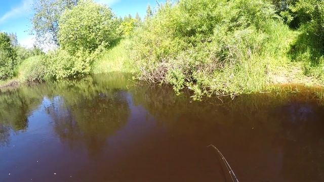 Сплав по реке Уда часть 03 Fish Attack! Окунь атакует вращающуюся блесну вдогон - замедленное видео смотреть онлайн