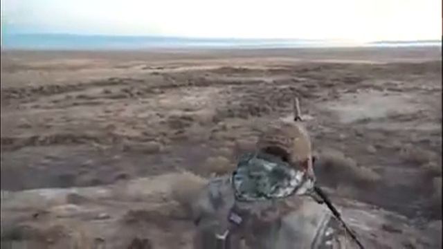 Охота на Волков ? смотреть онлайн
