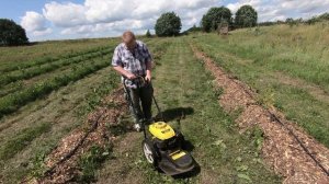 Колёсный тример прибыл в хозяйство. Отзыв на Champion LMH5640