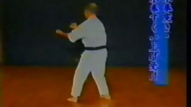 Uechi-ryu Karate-do Kenseikai. Part 02