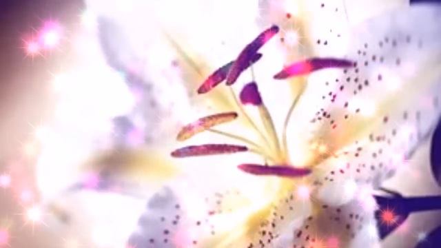 ИЗЯЩНАЯ ЛИЛИЯ !!! 👍👍👍 смотреть онлайн