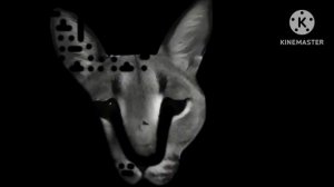 Жуткие лица удлинённая музыка Шлёпа