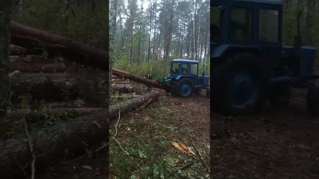 Валка леса-обучение тракториста смотреть онлайн