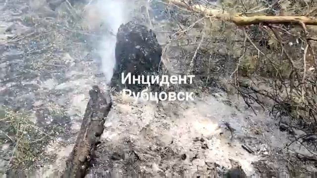 Лес в Егорьевском районе смотреть онлайн