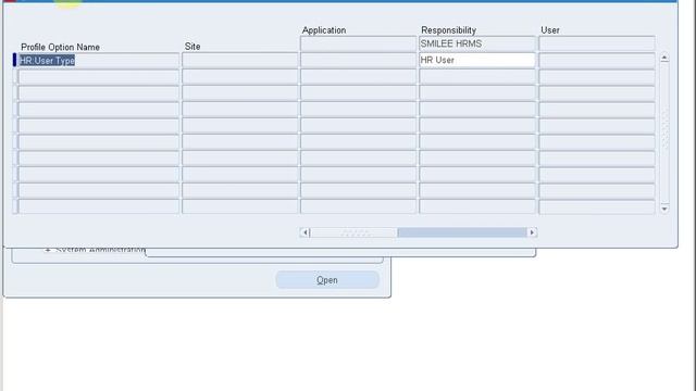 STEP 2 MOAC Oracle R12 Attaching Profile options HR USER TYPE смотреть онлайн