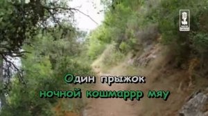 Детские   Песня Дикого Кота Матвея