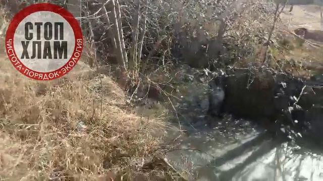 Пена, бутылки и резиновые изделия: что течёт в Симферопольское водохранилище?