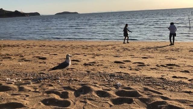 ЖЕЛТОЕ МОРЕ В КОРЕЕ/ Где отдохнуть и посмотреть на закат? Masiran Beach смотреть онлайн