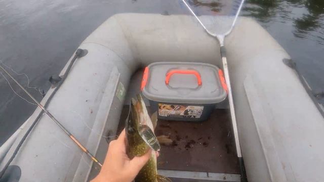 ШИКАРНАЯ ЛОВЛЯ ЩУКИ В КАРЕЛИИ 2 АВГУСТА 2021 ЧАСТЬ3