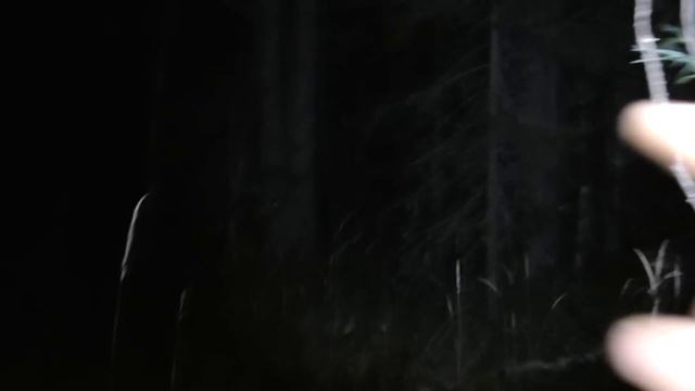 Разведка нового места!Мне с находкой повезло! первая серия смотреть онлайн
