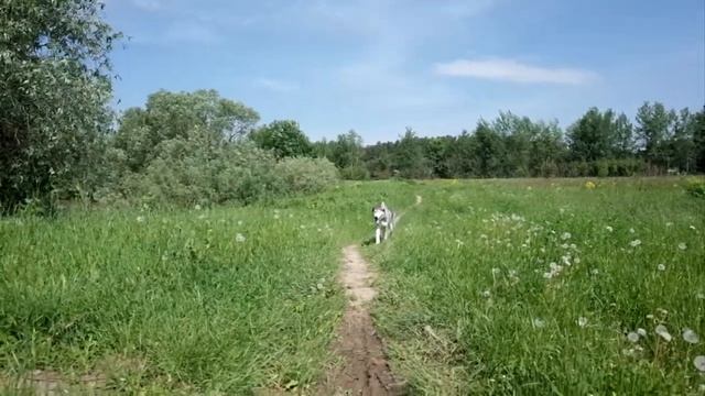 Пример съёмки камерой Ricoh GR смотреть онлайн