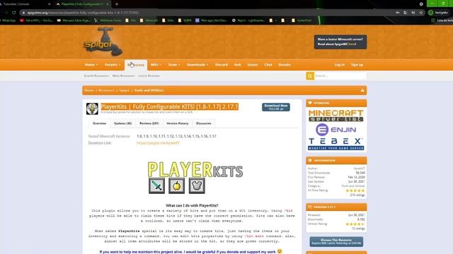 Como colocar plugins a tu servidor de Minecraft Java / Bedrock | VyxterHosting смотреть онлайн