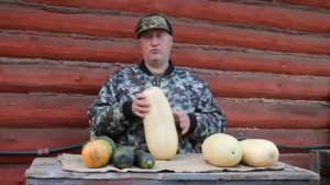 Кабачки для кур несушек.