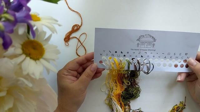 ГУСЬ и ЕГО ПРОБЛЕМЫ / НОВЫЙ СТАРТ / Вышивка крестом смотреть онлайн