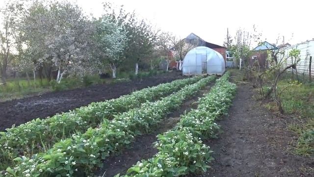 МИР, ТРУД, МАЙ! ПОНЕМНОГУ ДЕЛАЕМ НАКОПИВШУЮСЯ РАБОТУ. ЖИЗНЬ В СТАНИЦЕ ПЕРЕЕЗД НА ЮГ смотреть онлайн