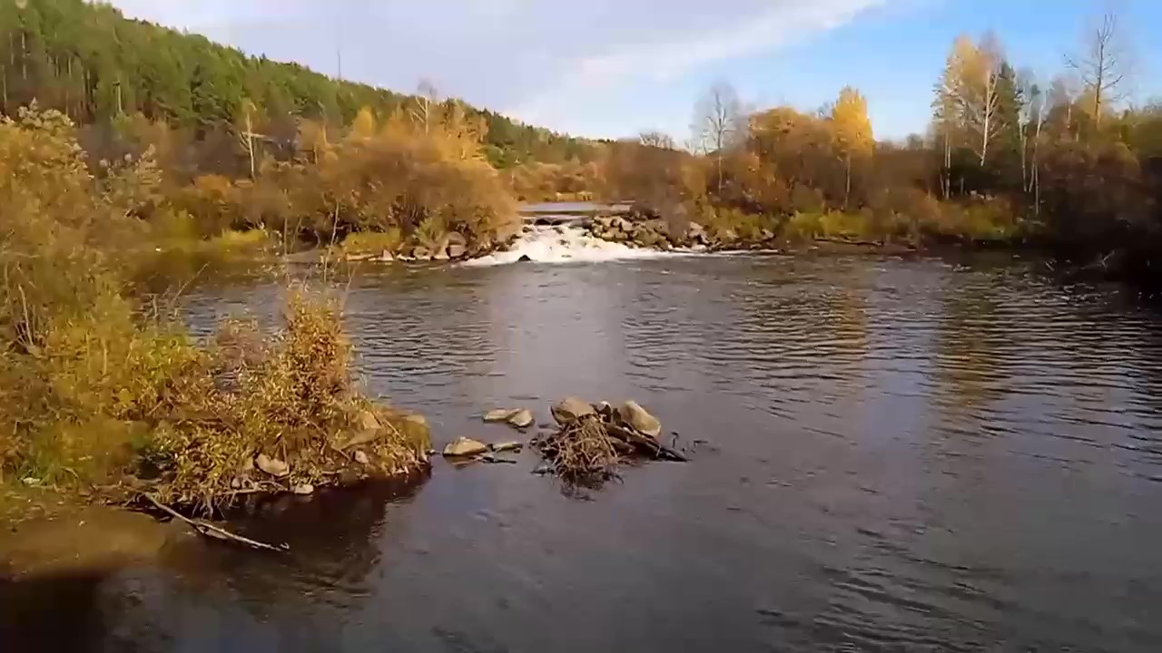 Ловля хищника на живца / ночь на таежной реке/ быт / живец / налим и щука/