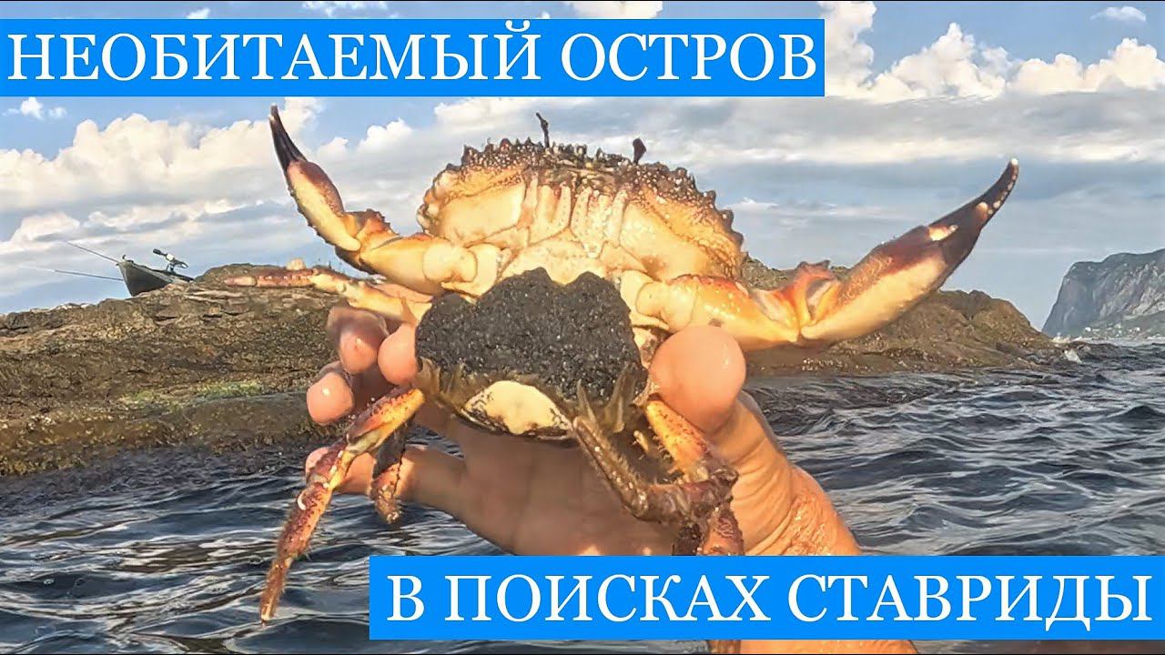Необитаемый ОСТРОВ у южного берега Крыма! Спортивная ловля ставриды и завтрак из моллюсков! смотреть онлайн