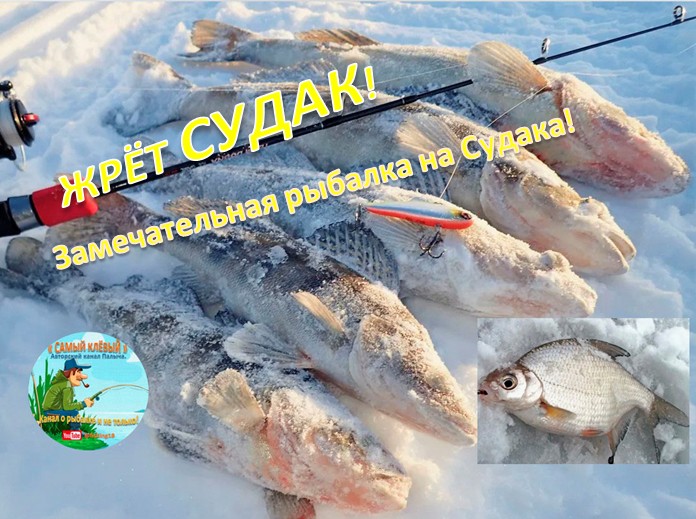 Замечательная рыбалка на Судака! смотреть онлайн