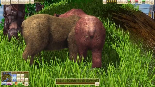 Wildlife Park 3 Pc Grizzly Bear Gameplay смотреть онлайн