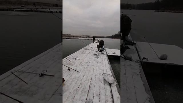 Рыбалка на форель. Ловля форели на пасту. Платная рыбалка в Подмосковье / рыбалка Савельево. смотреть онлайн