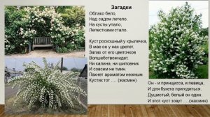 видео презентация цветущие кустарники #педагогипротивcovid#distant